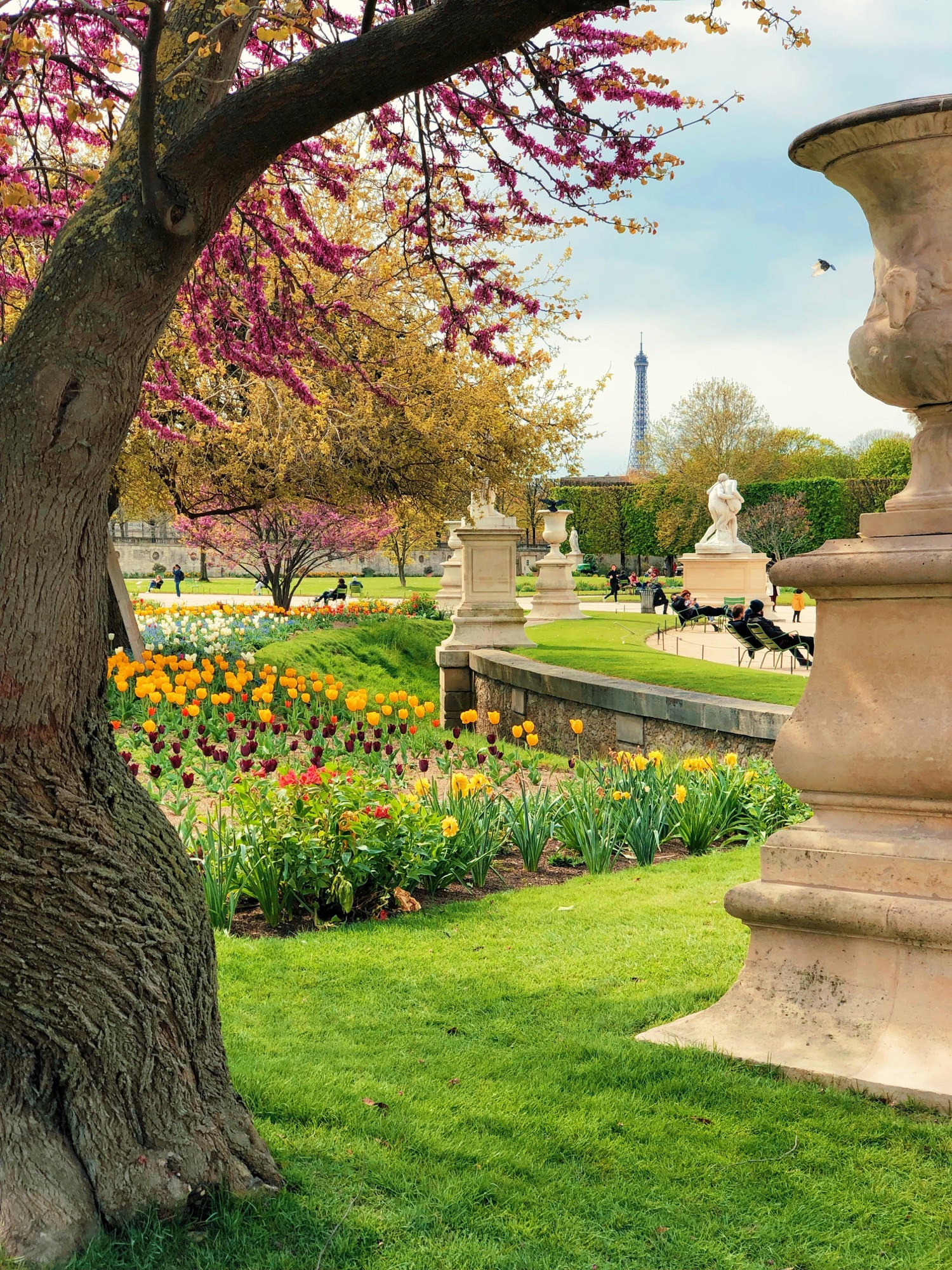 A cultivated garden tended over many seasons